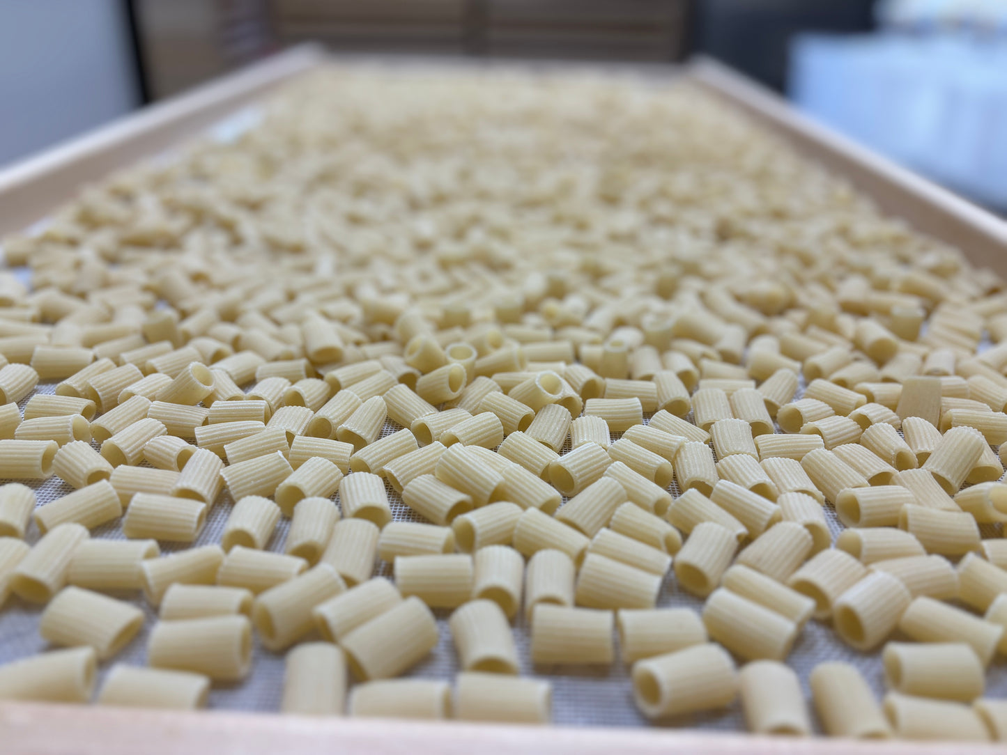 Maccheroni Rigati - 4 Pack