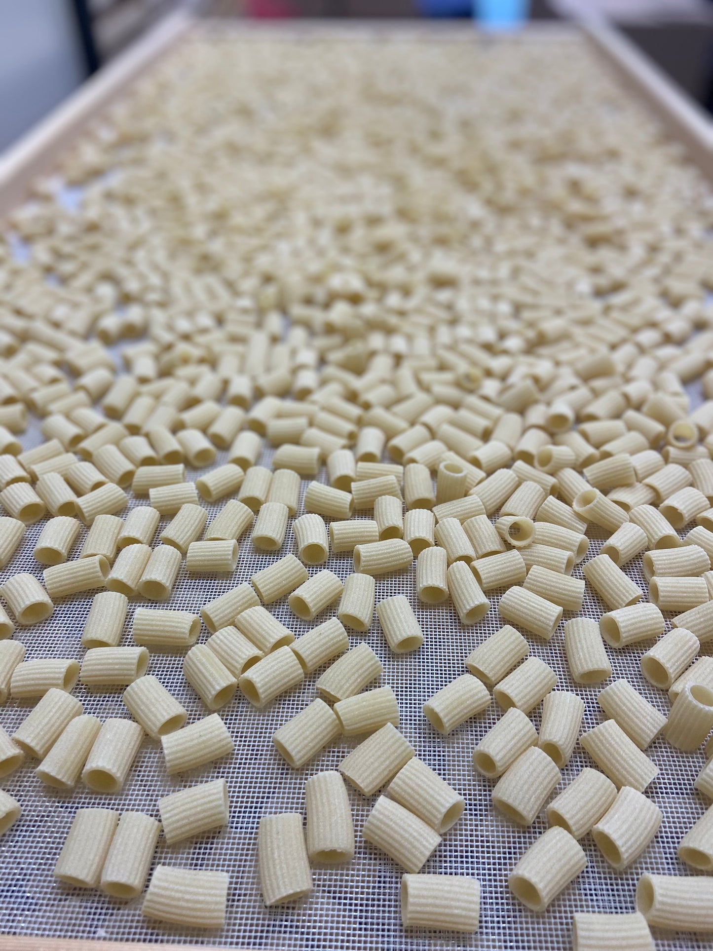 Maccheroni Rigati