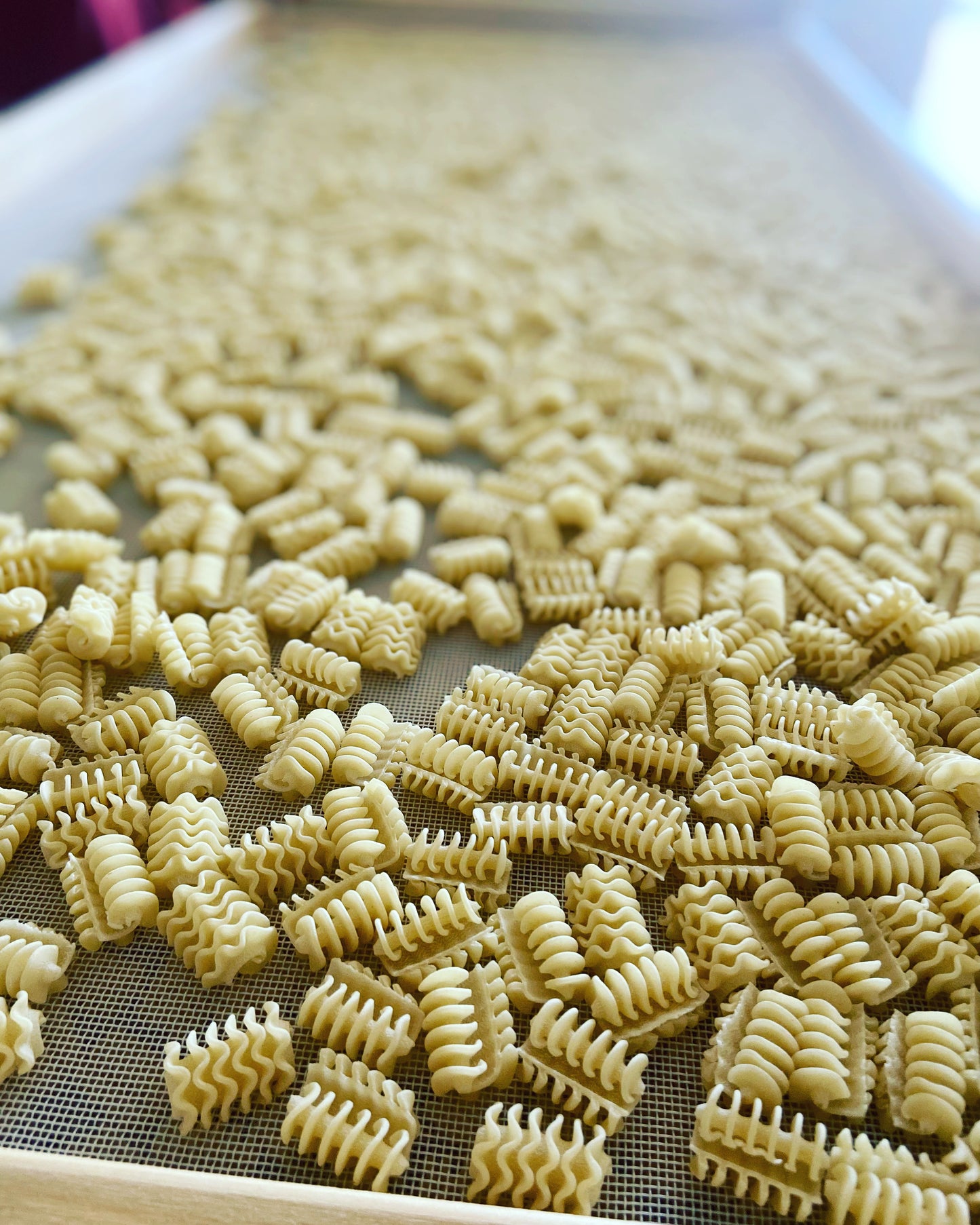 Radiatori Pasta - 4 Pack